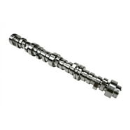 Ford Performance Parts M-6250-F303 Hydraulic Roller Camshaft - Walmart.com