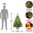 thumbnail image 3 of Árbol de Navidad, abeto Kincaid de National Tree Company, 4 pies, 3 of 7