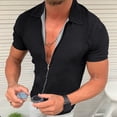 thumbnail image 2 of Rggeeun Mens Shirts Male Casual Lapel Short Sleeve Zipper Summer Beach Shirt Light Elastic Shirt Solid Color Leisure Tops, 2 of 9