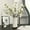 White, variant on Silk Cherry Blossom Branches, 2PCS 19in Artificial Flowers Cherry Blossom Tree Stems, Long Stems Fake Flowers Floral Arrangements for Home Table Wedding Japanese Decor