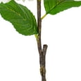 thumbnail image 4 of Vickerman 27" Artificial White Hydrangea Stem, 4 of 4