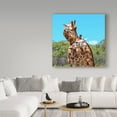 thumbnail image 3 of Trademark Fine Art 'Two Giraffes Wildlife' Canvas Art by Incredi, 3 of 3