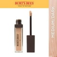 thumbnail image 1 of Burt's Bees Concealer - 1 Tube, 1 of 6