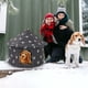 thumbnail image 1 of Winter Outdoor House House Padded House Foldable Stray House Sunscreen, 1 of 8