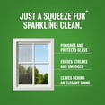 thumbnail image 3 of Sparkling Glass Spray - Streak-Free Natural Glass Cleaner for Windows, Mirrors, and Surfaces - Lavender & Grapefruit Scent - 16 oz - 2 Pack, 3 of 4