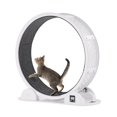 thumbnail image 2 of Cat Exercise Wheel with Pedometer 40.8" Cat Treadmill for Pet Health White, 2 of 7