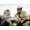 Unframed, variant on Art.com Shane, Brandon De Wilde, Alan Ladd, 1953 Photo, 16" x 12"