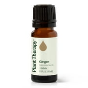 Plant Therapy Ginger Steam Distilled Essential Oil 10 mL (1/3 oz) 100% Pure, Undiluted, Natural Aromatherapy