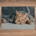 thumbnail image 5 of Ambesonne Orange Cat Jigsaw Puzzle Durable Cardboard, Kitten Sleeping Artwork, 1000 pcs, Sand Brown Dark Teal and Grey, 5 of 5