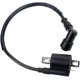 thumbnail image 3 of Bobina para 50cc 90cc 110cc 125cc 150cc 200cc 250cc ATV Quad Dirt Pit Bike Scooter Buggy motocicleta Go Kart JAMW, 3 of 4