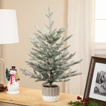Northlight Flocked Potted Artificial Christmas Snowy Tree - 26" - Unlit