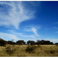 LAMINATED POSTER Swirly Clouds Whispy White Smokey Big Blue Sky Poster Print 24 x 36