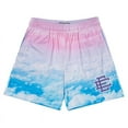 thumbnail image 2 of New Summer Eric Emanuel EE Basic Mesh Short Classic Floral Printed Gym Shorts Men's Gym Basketball Sports Beach Shorts, 2 of 5