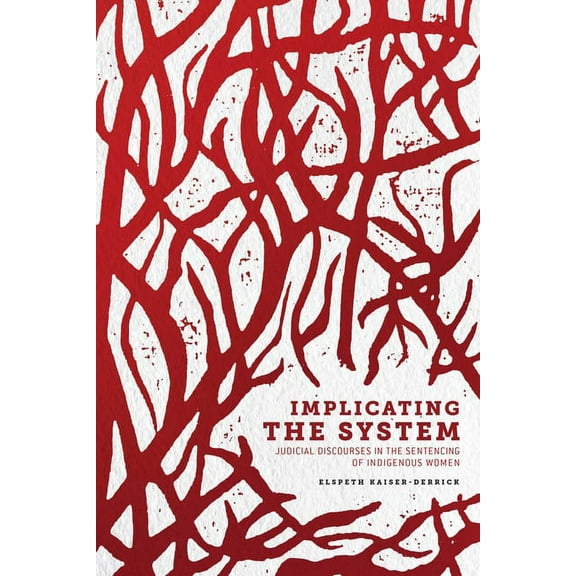 Human Rights and Social Justice Implicating the System: Judicial Discourses in the Sentencing of Indigenous Women, Book 3, (Hardcover)