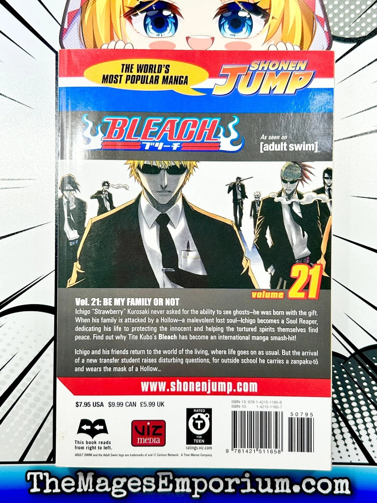 Bleach: Bleach, Vol. 21 (Series #21) (Paperback) - Walmart.com