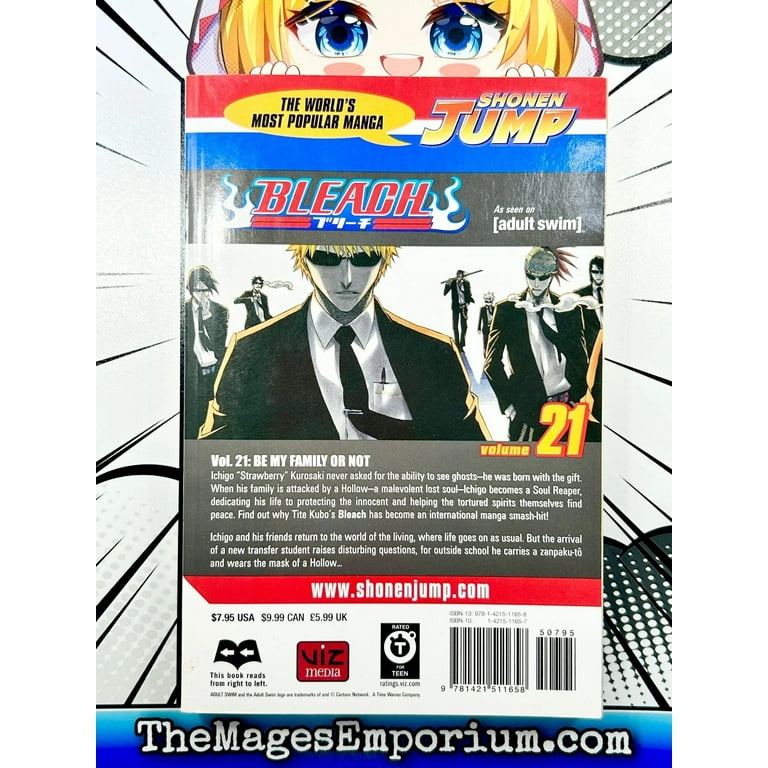 Bleach: Bleach, Vol. 21 (Series #21) (Paperback) - Walmart.com