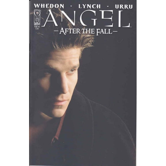 Angel: After the Fall #1 (2nd) VF ; IDW Comic Book
