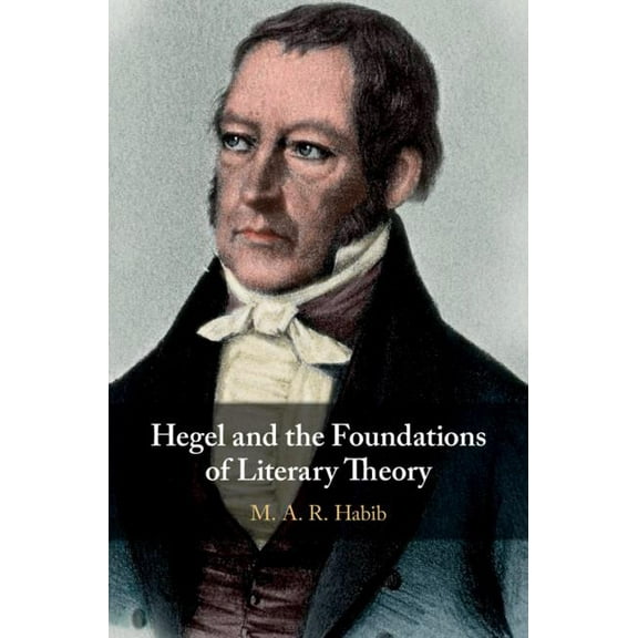 Hegel and the Foundations of Literary Theory, (Hardcover)