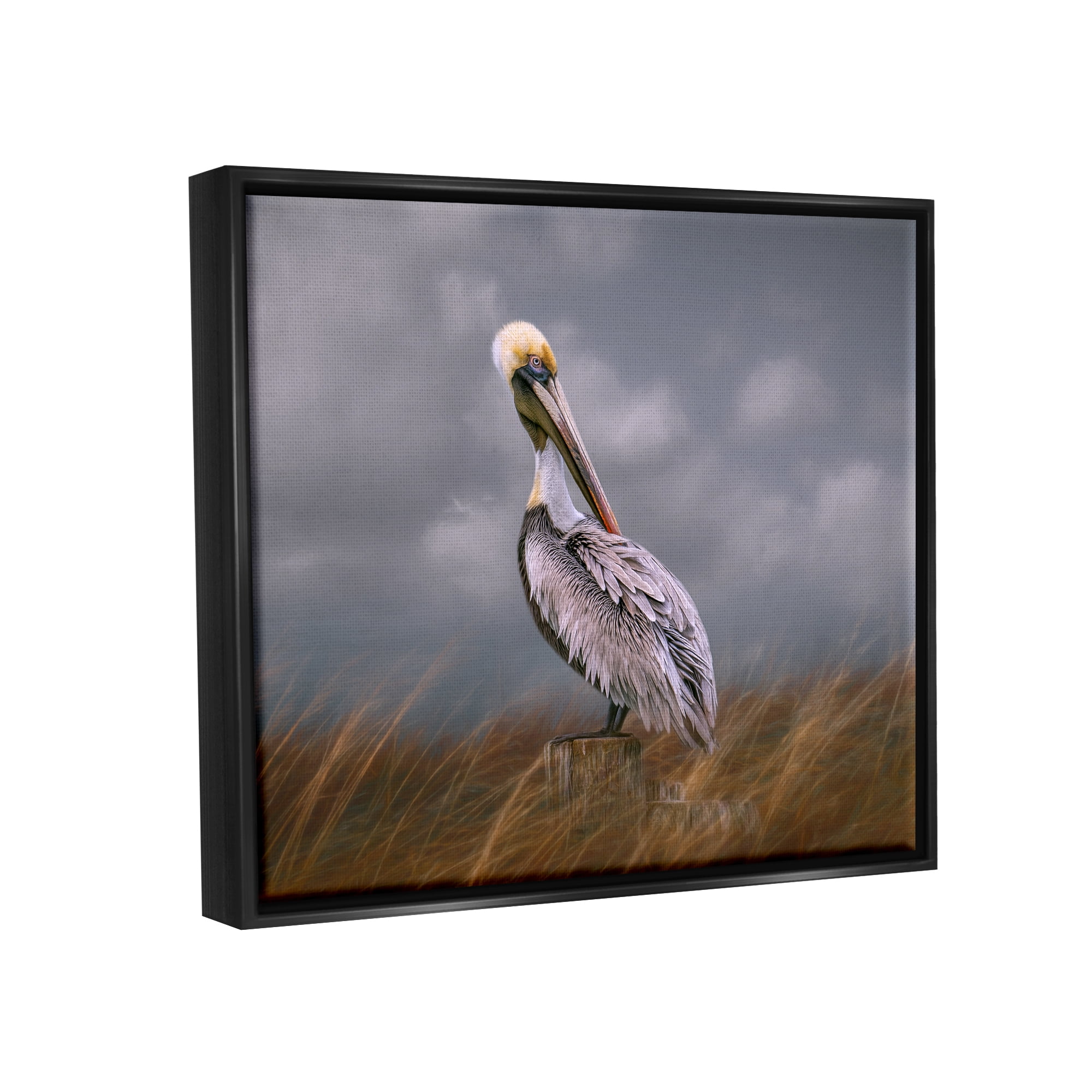 Stupell Wildlife Pelican Bird Cloudy Sky Animals & Insects Photography Black Floater Framed Art Print Wall Art