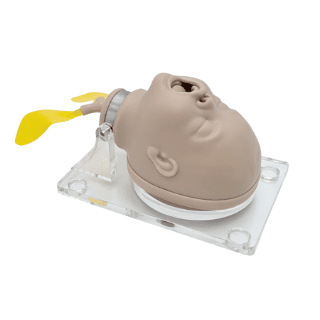 Anatomy Lab Neonate Airway Management Trainer