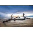 thumbnail image 2 of Celebrate Life Gallery 32x23 White Modern Wood Framed Museum Art Print Titled - Bones Beach, 2 of 4