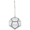 thumbnail image 1 of Syndicate Home & Garden 3767-06-09 Hanging Geometric Terrarium, 6 in., 1 of 1