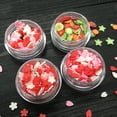thumbnail image 2 of UDIYO Polymer Clay 3D Nail Art Fruit Slice Flower Petal Love Heart DIY Decoration, 2 of 7