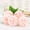 G, variant on 1pcs Artifical Rose Flowers Dusty Rose Gradient with Stems for DIY Wedding Bouquets Centerpieces Arrange Decorations