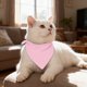 thumbnail image 5 of Toalla-pañuelo-babero triangular para mascotas, alta absorbencia, lavable a máquina, para gatos y perros pequeños, medianos y grandes, a la hora de comer, 5 of 5