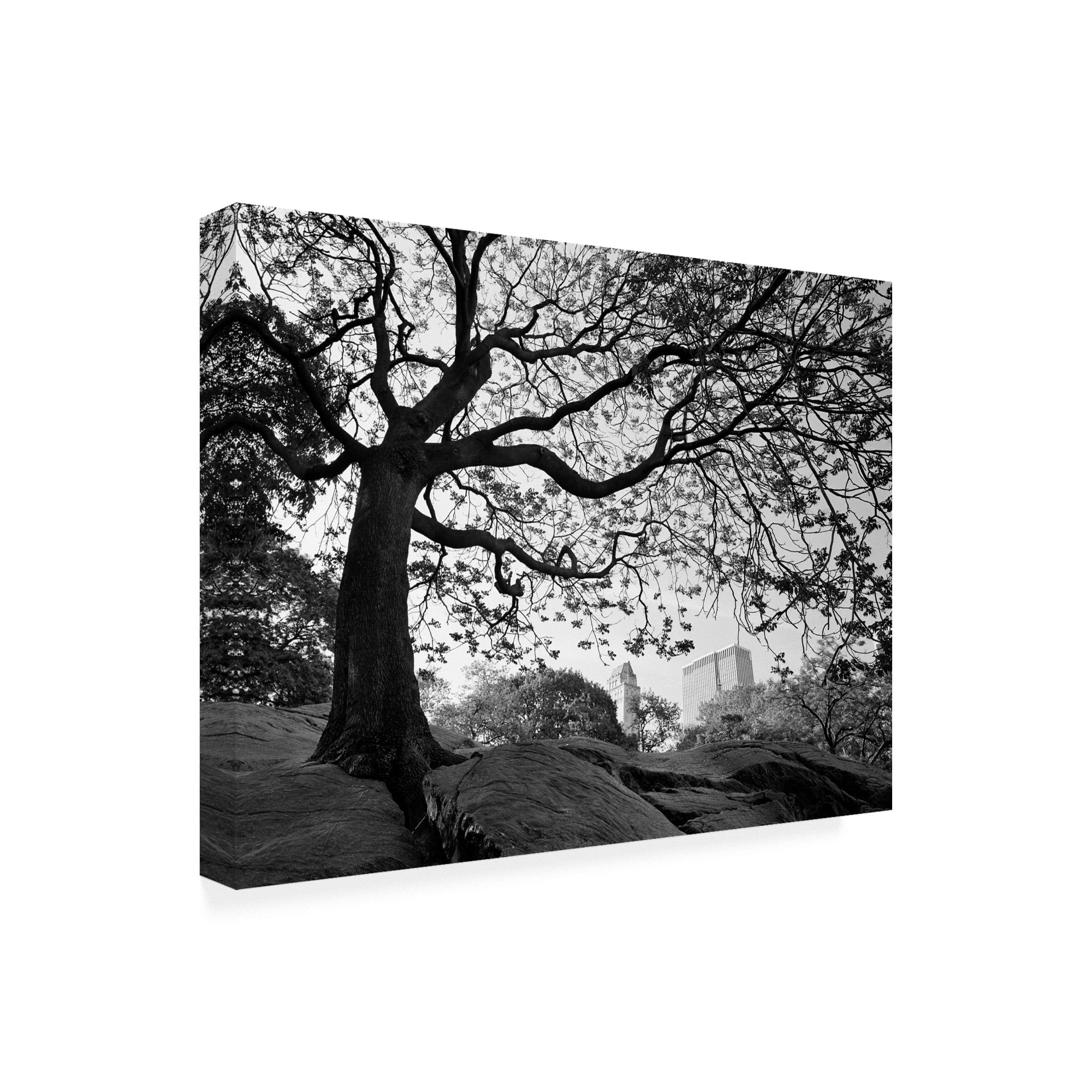 Trademark Fine Art 'Central Park New York New York' Canvas Art by Monte Nagler
