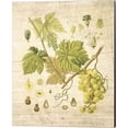 thumbnail image 4 of Metaverse Nobleworks Inc. 'Grapevine' Canvas Art (Set of 2), 4 of 4