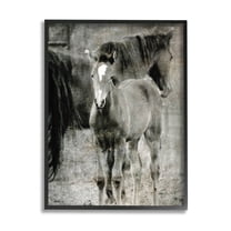 Vintage Foal Horse Farmland Animals & Insects Graphic Art Black Framed Art Print Wall Art