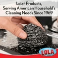 thumbnail image 3 of Lola L430 Stainless Steel Scourers, 2 Pads, 3 of 7
