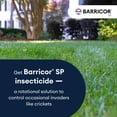 thumbnail image 3 of Insecticida Bayer Barricor SP 946 ml de amplio espectro, 3 of 6