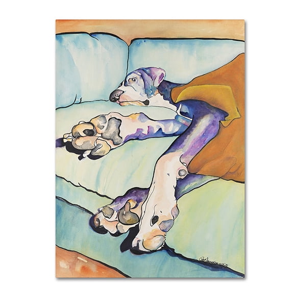 Trademark Fine Art "Sweet Sleep II" Canvas Art by Pat Saunders-White