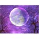 thumbnail image 1 of Kit de Pintura de Diamantes 5D NQ Árbol Sombra Luna Púrpura 16x20, 1 of 5