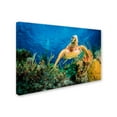 thumbnail image 2 of Trademark Fine Art 'Hawksbill Turtle' Canvas Art by Jan Abadschieff, 2 of 3