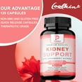 thumbnail image 4 of Kidney Support - with Cranberry, Astragals - Kidney Detox and Bladder Cleanse - 120 Capsules, 4 of 9