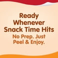 thumbnail image 4 of Snack Pack Butterscotch Pudding, Lunchbox Snacks, 3.25 oz Pudding Cups, 4 Count, 4 of 9