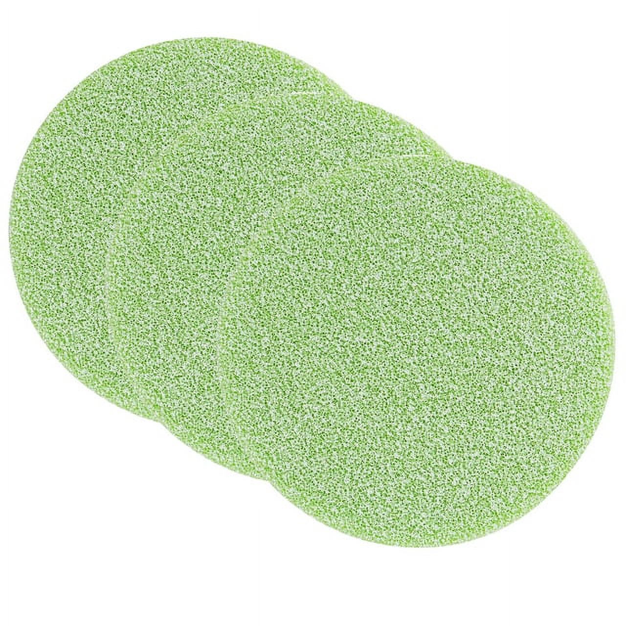 Qzbhct 8 Pcs Phosphate Remover Pads for Fluval Fx4 FX5 FX6 Canister Filter Aquarium Filter Sponge Replacement