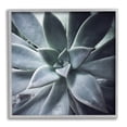 thumbnail image 3 of Stupell Industries Modern Succulent Close Up Plant Life Botanical Photograph Gray Framed Art Print Wall Art, Design by unknown, 3 of 5