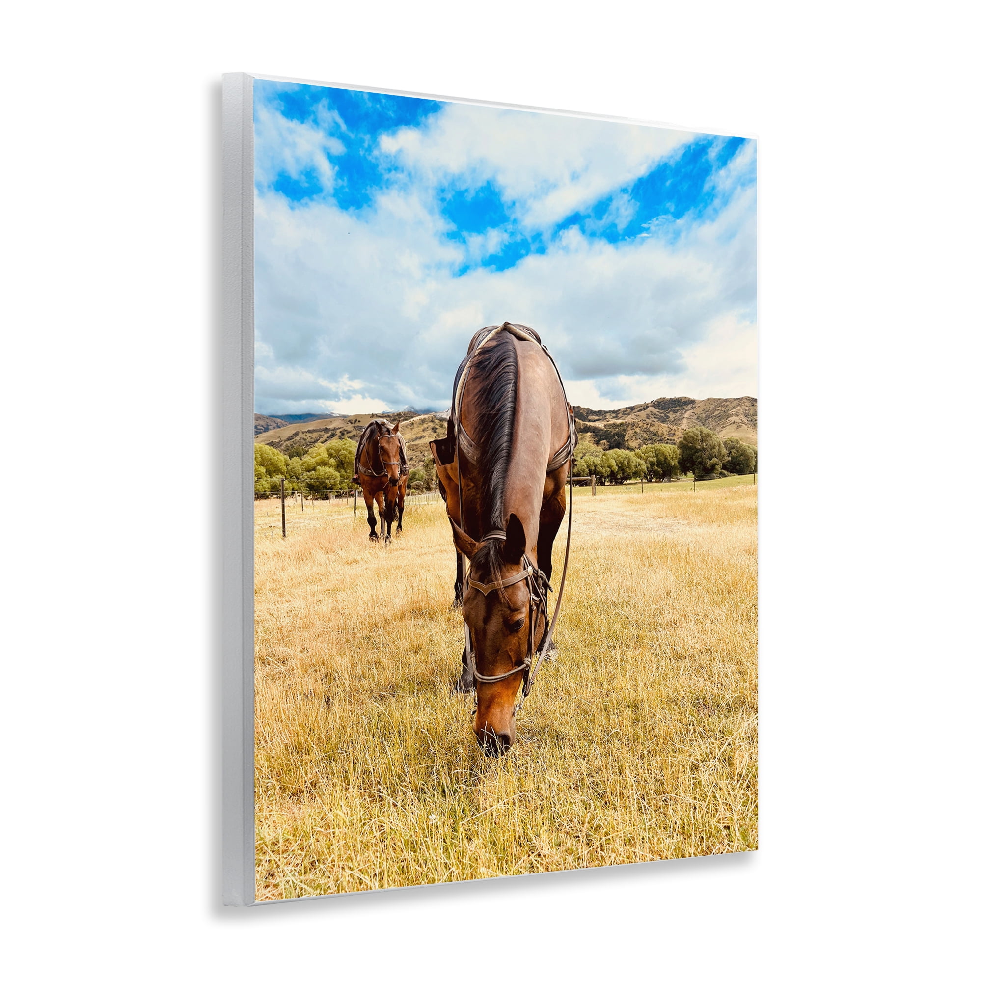 Stupell Industries Grazing Horses Pasture Animals Photography Unframed Art Print Wall Art, 11 x 14