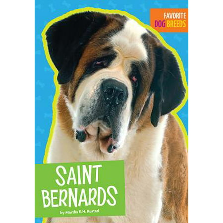 Saint Bernards (Best Saint Bernard Breeders)