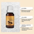 thumbnail image 3 of OceAura Skin Massage Care Essence Oil Improves Skin Elastic Soft Firm Lightweight Non-Sticky Massage Oil, 3 of 5