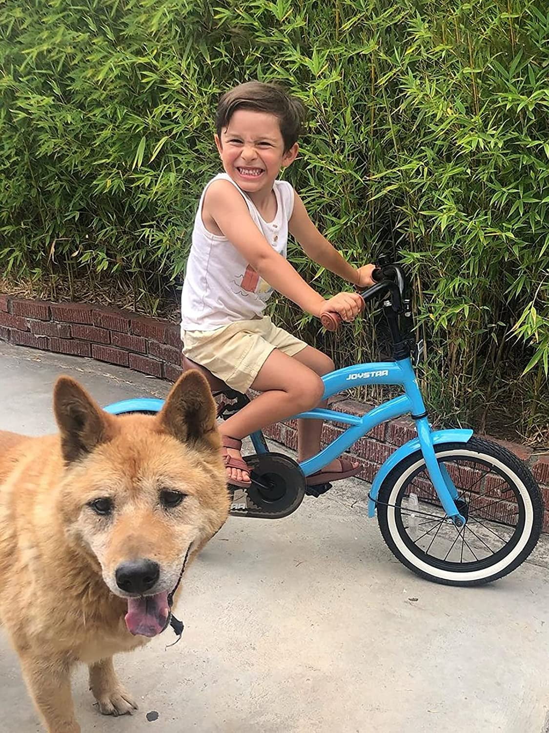 JOYSTAR 12" 14" 16" Kids Cruiser Bike for Ages 2-7 Years Old Girls & Boys, Kids Bike with Training Wheels, Cruiser Bicycles for Children, Blue