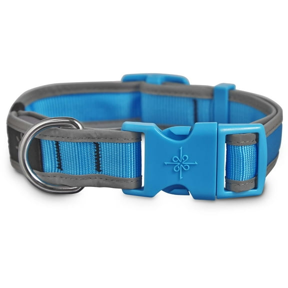 Good2Go LED Light-Up Collar for Dogs in Blue, Large
