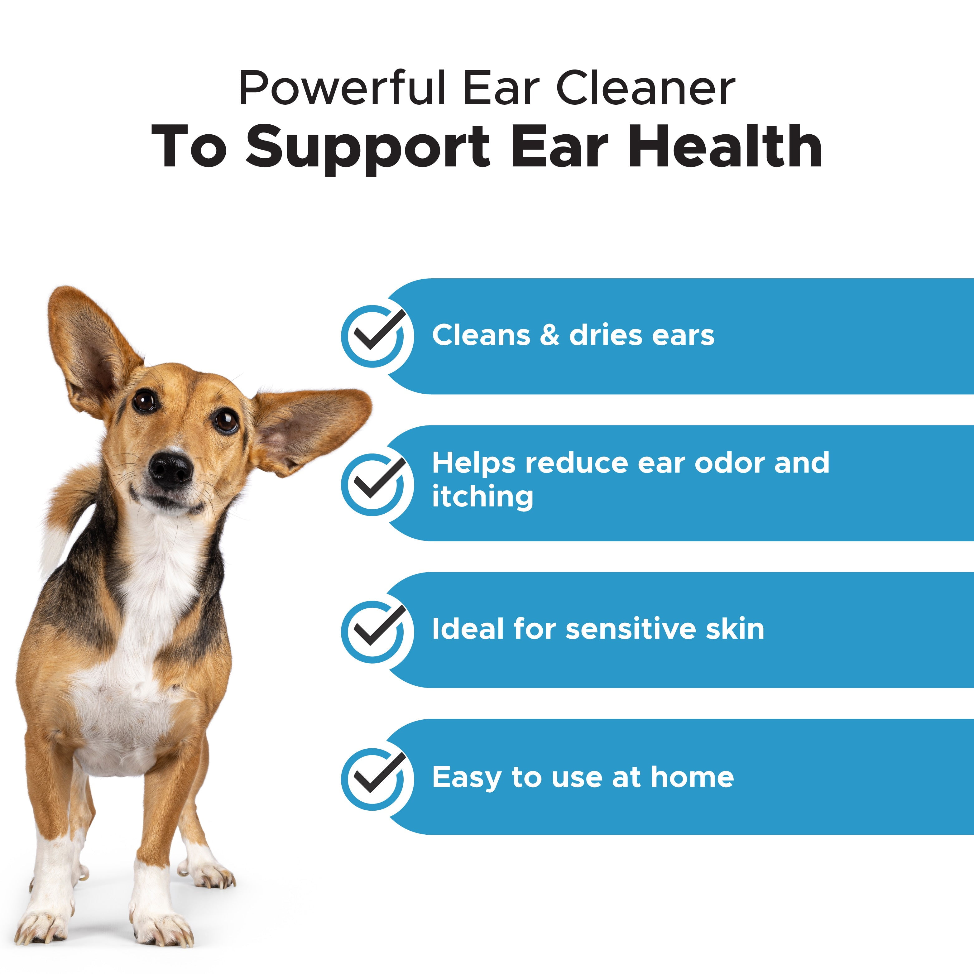 Dog ear cheap odor