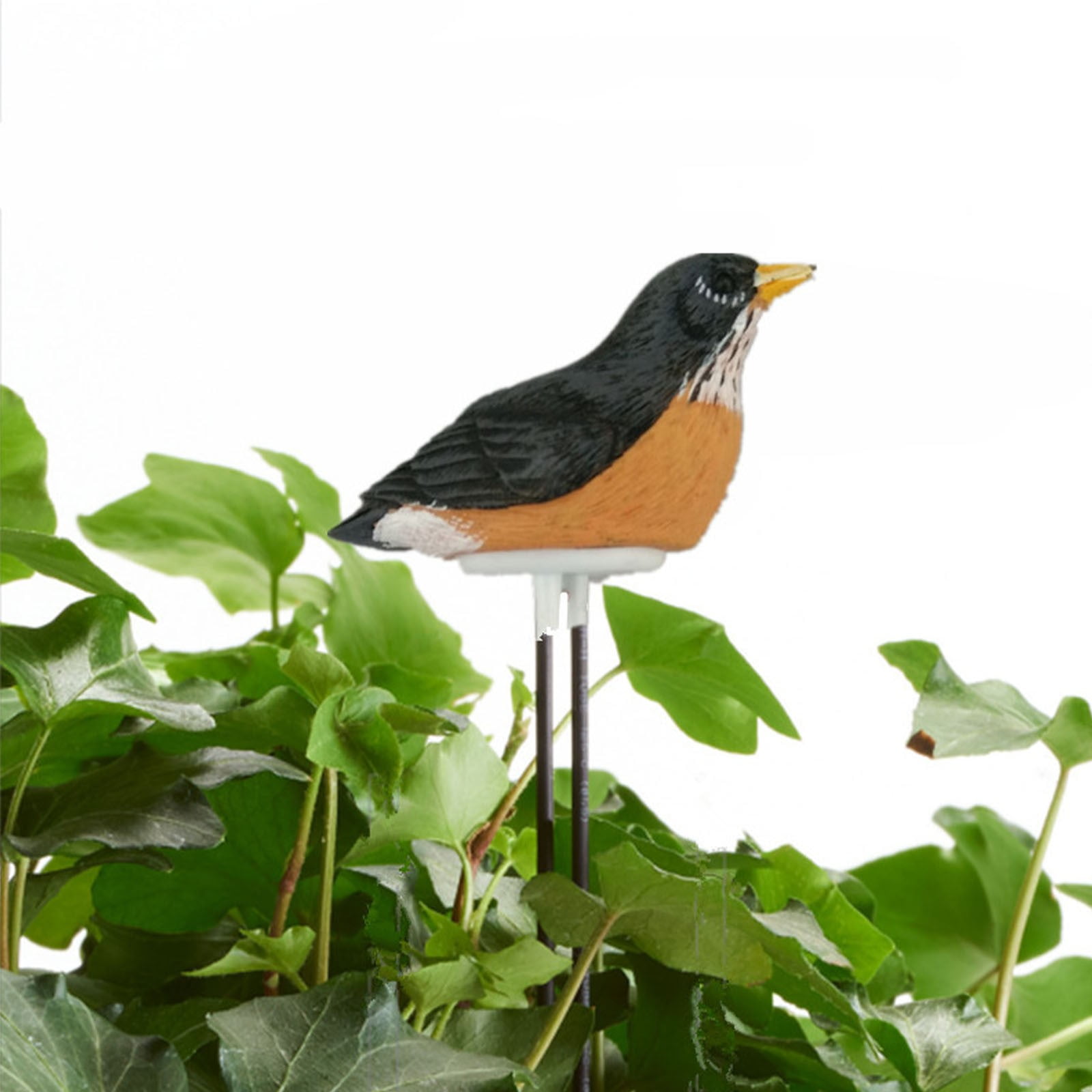 Humidimètre Sol En Forme D'oiseau Avec Alarme - Testeur D'arrosage Pour Plantes