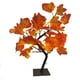thumbnail image 2 of Luces de Arce para Halloween - Luz Nocturna Led Naranja Alimentada Por Usb/Batería para Decoración Del Hogar, Ventana y Mesita de Noche - Decoración Navideña de Interior de 45 Cm, 2 of 6