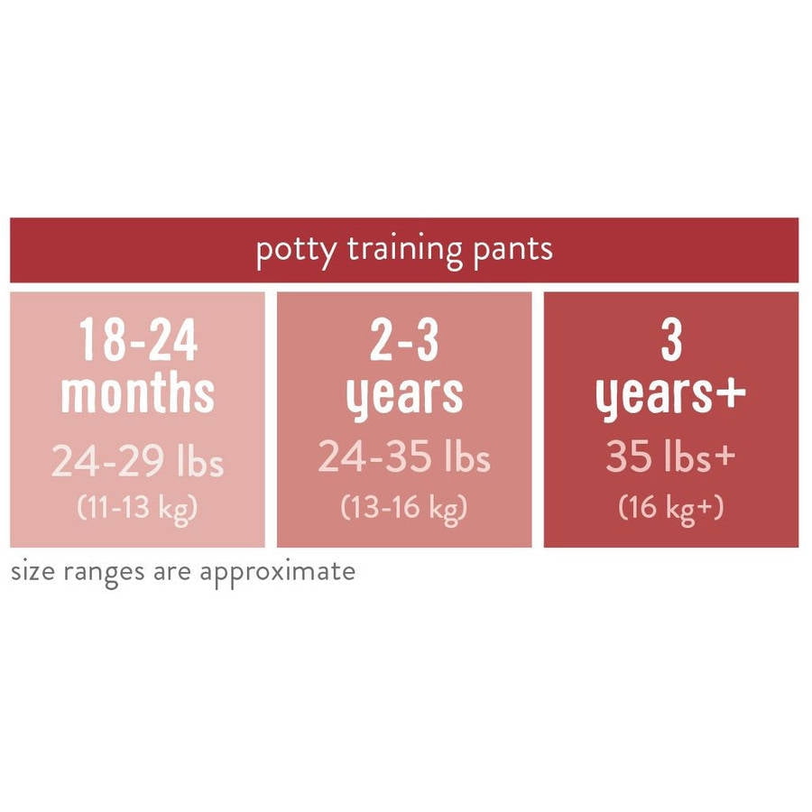 Bambino Mio, Potty Training Pants, Outer Space, 2-3 Years